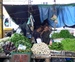 Sri_Lanka0582.JPG