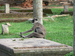 Sri_Lanka0770.JPG