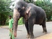 Sri_Lanka0917.JPG