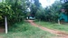 Sri_Lanka2110.jpg