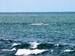 Sri_Lanka2123.JPG