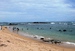 Sri_Lanka2255.JPG